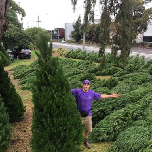 Melbourne Drive-In Real Christmas Trees